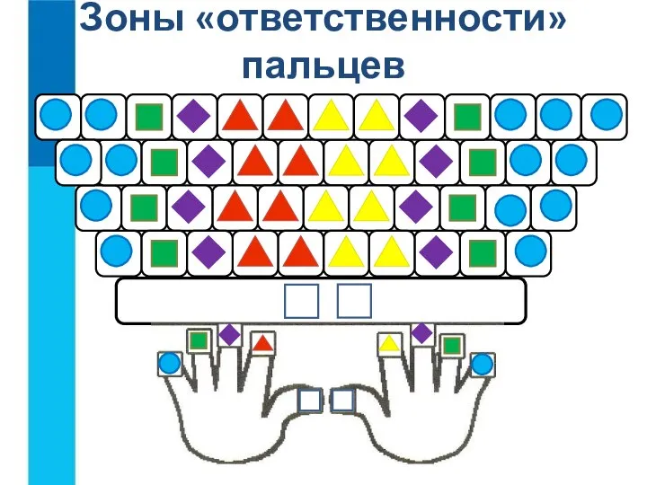 Зоны «ответственности» пальцев