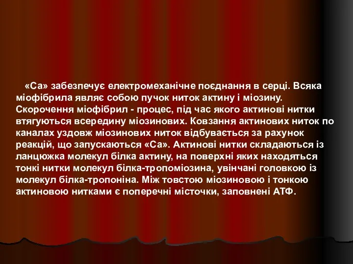 «Са» забезпечує електромеханічне поєднання в серці. Всяка міофібрила являє собою пучок