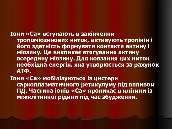 Іони «Са» вступають в закінчення тропоміозинових ниток, активують тропінін і його