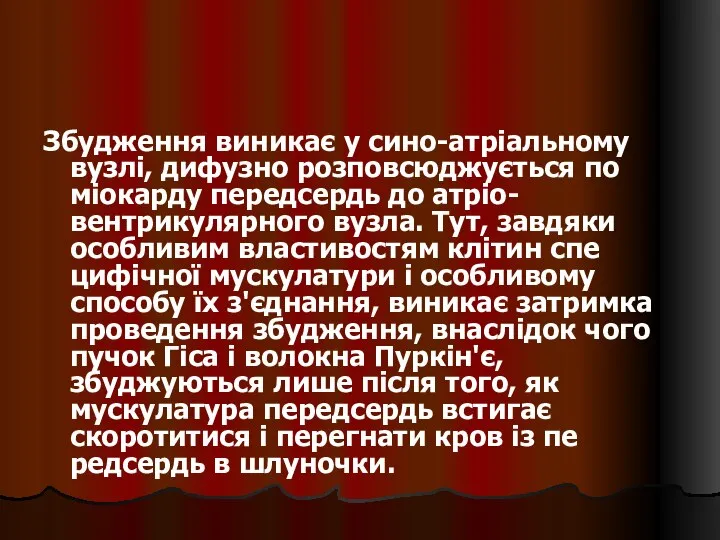 Збудження виникає у сино-атріальному вузлі, дифузно розповсюджується по міокарду передсердь до