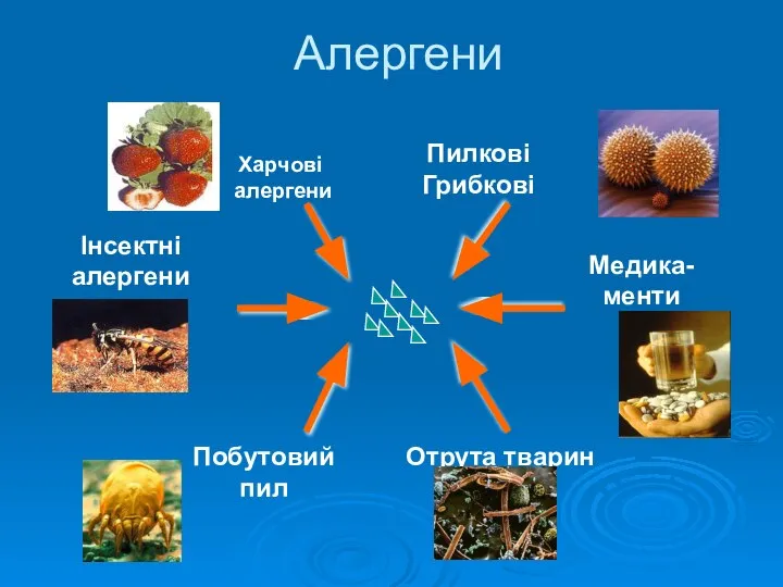 Aлергени Пилкові Грибкові Отрута тварин Медика-менти Інсектні алергени Побутовий пил Харчові алергени