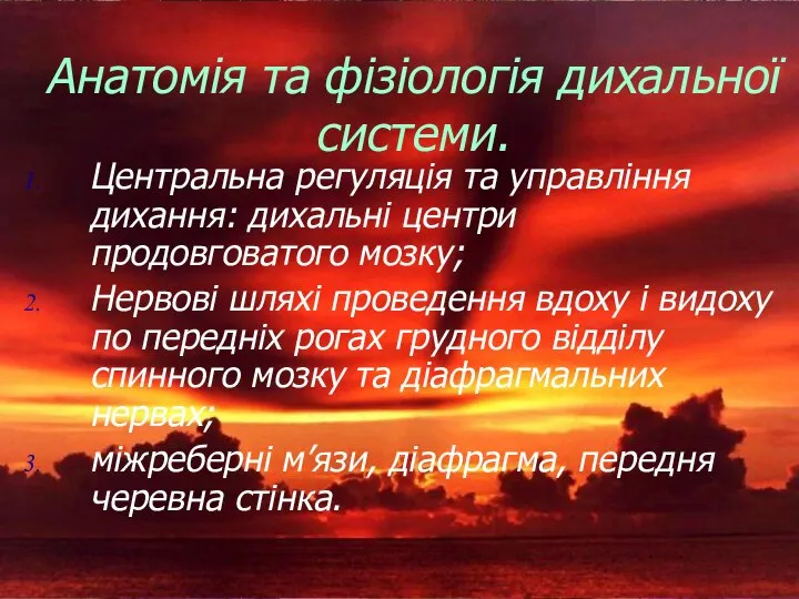 Анатомія та фізіологія дихальної системи. Центральна регуляція та управління дихання: дихальні