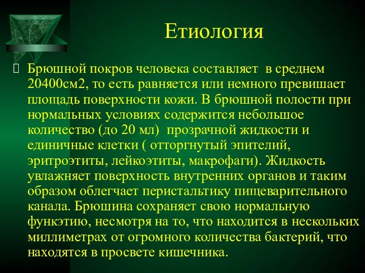 Етиология Брюшной покров человека составляет в среднем 20400см2, то есть равняется