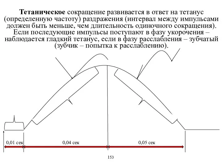 Тетаническое сокращение развивается в ответ на тетанус (определенную частоту) раздражения (интервал