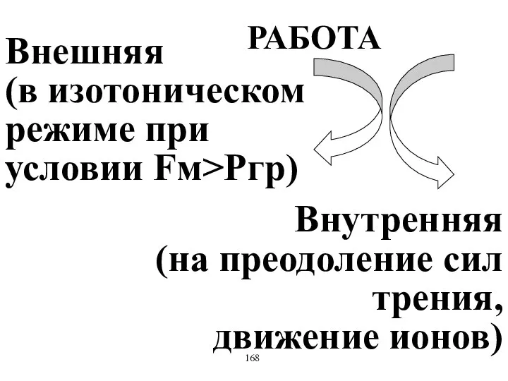 РАБОТА Внешняя (в изотоническом режиме при условии Fм>Pгр) Внутренняя (на преодоление сил трения, движение ионов) 168