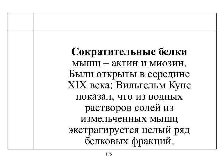 Сократительные белки мышц – актин и миозин. Были открыты в середине