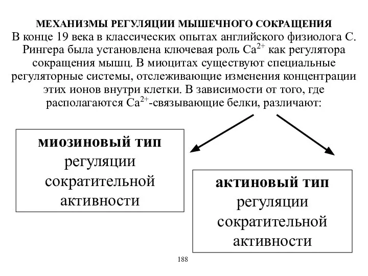 МЕХАНИЗМЫ РЕГУЛЯЦИИ МЫШЕЧНОГО СОКРАЩЕНИЯ В конце 19 века в классических опытах