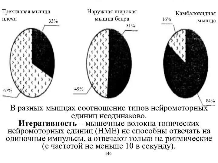 В разных мышцах соотношение типов нейромоторных единиц неодинаково. Итеративность – мышечные