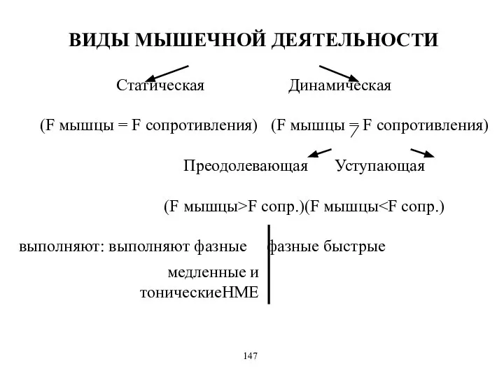 ВИДЫ МЫШЕЧНОЙ ДЕЯТЕЛЬНОСТИ Статическая Динамическая (F мышцы = F сопротивления) (F