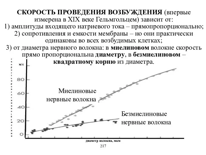 Миелиновые нервные волокна Безмиелиновые нервные волокна диаметр волокна, мкм скорость проведения