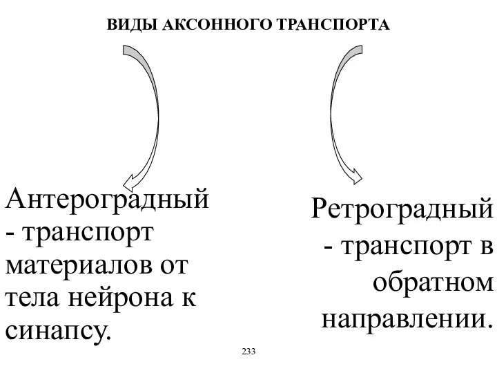 ВИДЫ АКСОННОГО ТРАНСПОРТА Ретроградный - транспорт в обратном направлении. Антероградный -