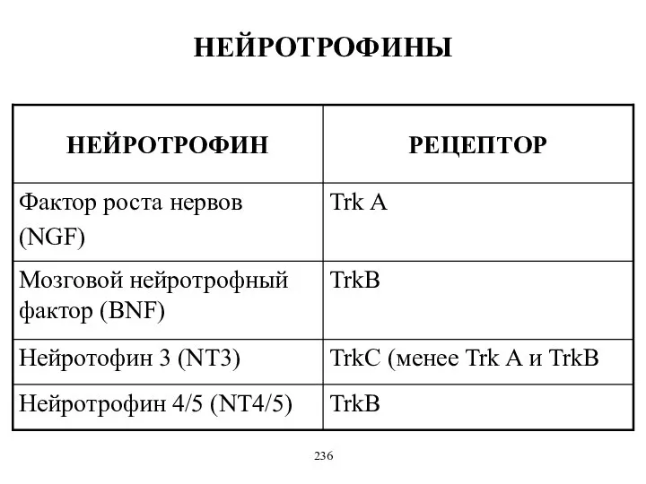 НЕЙРОТРОФИНЫ 236