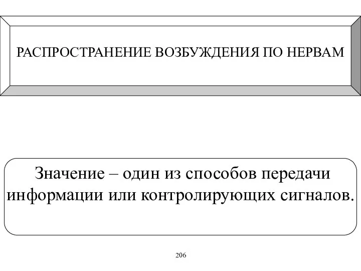 РАСПРОСТРАНЕНИЕ ВОЗБУЖДЕНИЯ ПО НЕРВАМ Значение – один из способов передачи информации или контролирующих сигналов. 206