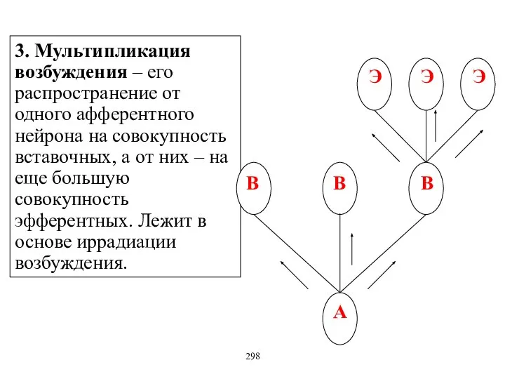 3. Мультипликация возбуждения – его распространение от одного афферентного нейрона на