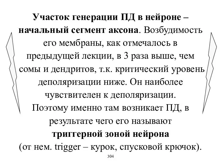 Участок генерации ПД в нейроне – начальный сегмент аксона. Возбудимость его