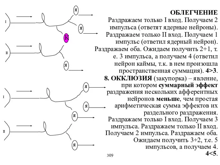 ОБЛЕГЧЕНИЕ Раздражаем только I вход. Получаем 2 импульса (ответят ядерные нейроны).