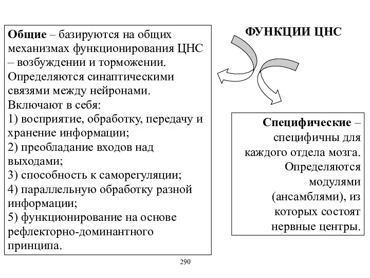 ФУНКЦИИ ЦНС Специфические – специфичны для каждого отдела мозга. Определяются модулями