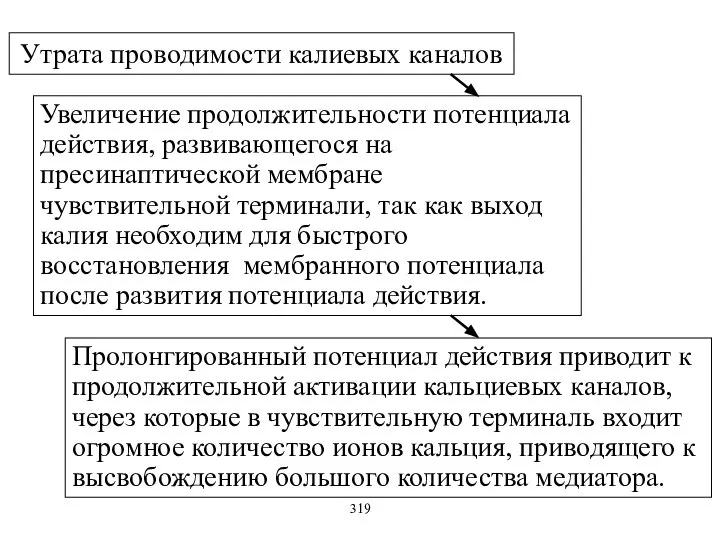 Утрата проводимости калиевых каналов Увеличение продолжительности потенциала действия, развивающегося на пресинаптической