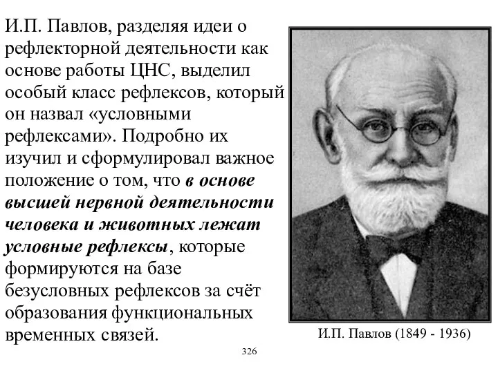 И.П. Павлов (1849 - 1936) И.П. Павлов, разделяя идеи о рефлекторной