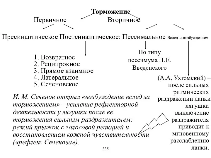 Торможение Первичное Вторичное Пресинаптическое Постсинаптическое: Пессимальное Вслед за возбуждением 1. Возвратное