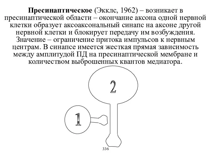 Пресинаптическое (Экклс, 1962) – возникает в пресинаптической области – окончание аксона