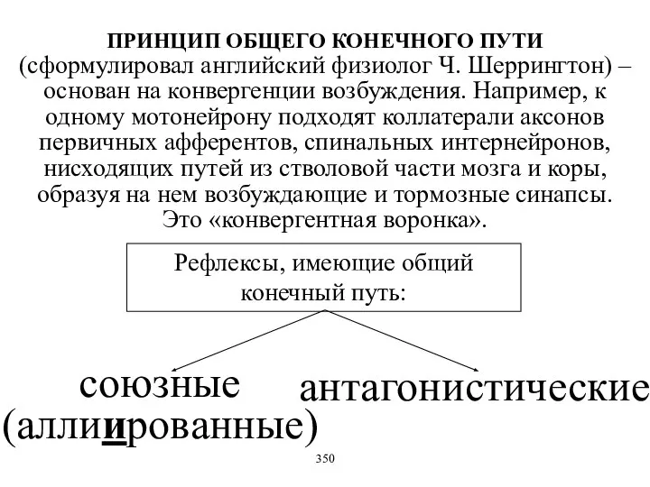 ПРИНЦИП ОБЩЕГО КОНЕЧНОГО ПУТИ (сформулировал английский физиолог Ч. Шеррингтон) – основан