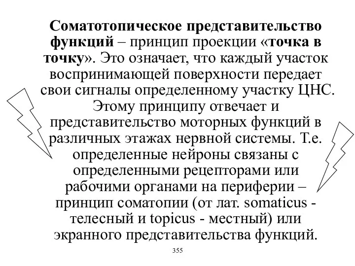 Соматотопическое представительство функций – принцип проекции «точка в точку». Это означает,