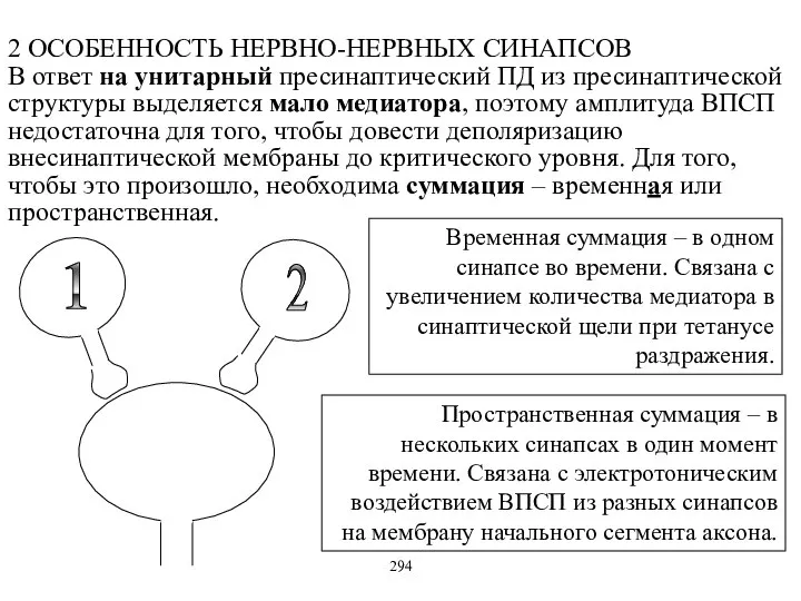 2 ОСОБЕННОСТЬ НЕРВНО-НЕРВНЫХ СИНАПСОВ В ответ на унитарный пресинаптический ПД из