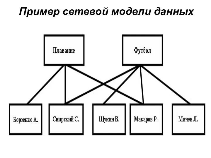 Пример сетевой модели данных