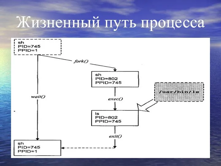 Жизненный путь процесса