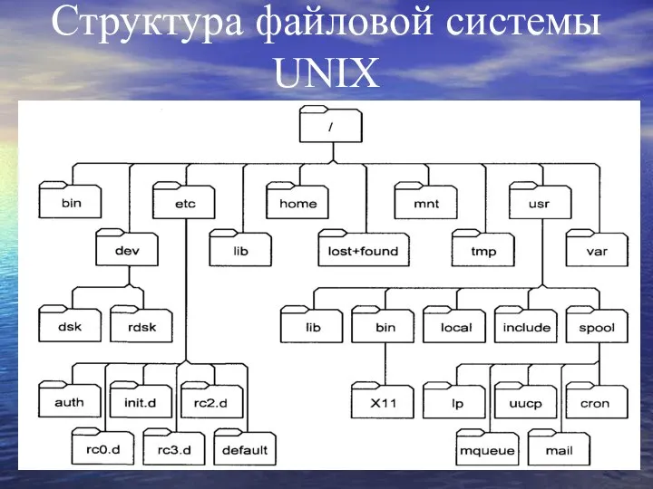 Структура файловой системы UNIX