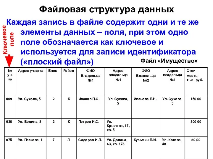 Файловая структура данных Каждая запись в файле содержит одни и те