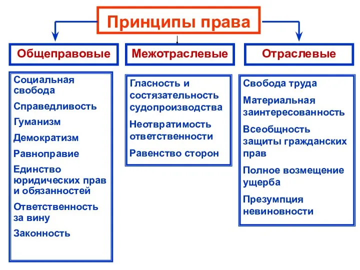 Принципы права Общеправовые Межотраслевые Отраслевые Социальная свобода Справедливость Гуманизм Демократизм Равноправие