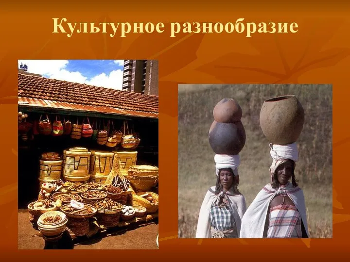 Культурное разнообразие