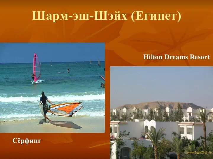 Шарм-эш-Шэйх (Египет) Hilton Dreams Resort Сёрфинг