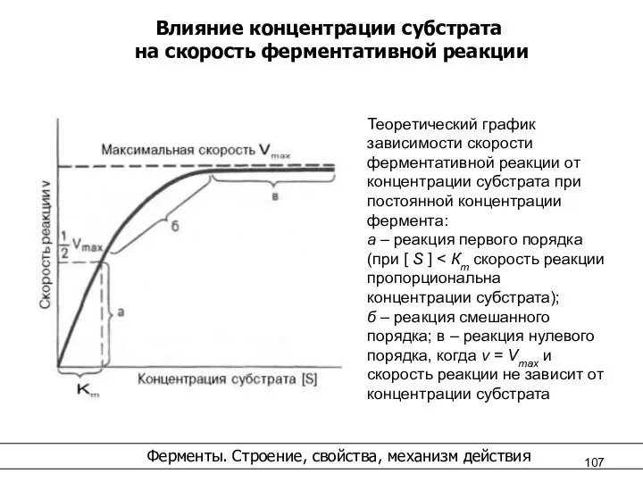 Влияние концентрации субстрата на скорость ферментативной реакции Ферменты. Строение, свойства, механизм действия