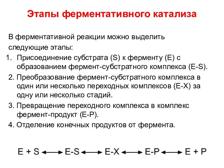 Этапы ферментативного катализа В ферментативной реакции можно выделить следующие этапы: Присоединение