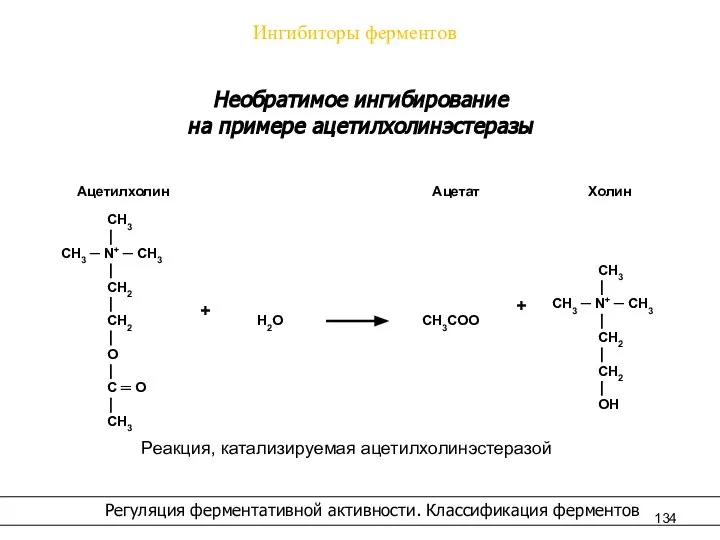 Ингибиторы ферментов Регуляция ферментативной активности. Классификация ферментов Необратимое ингибирование на примере ацетилхолинэстеразы Реакция, катализируемая ацетилхолинэстеразой