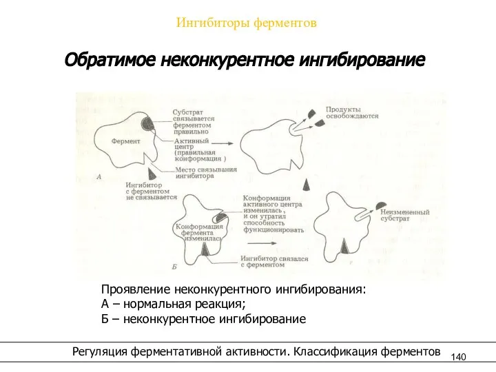 Ингибиторы ферментов Регуляция ферментативной активности. Классификация ферментов Обратимое неконкурентное ингибирование Проявление