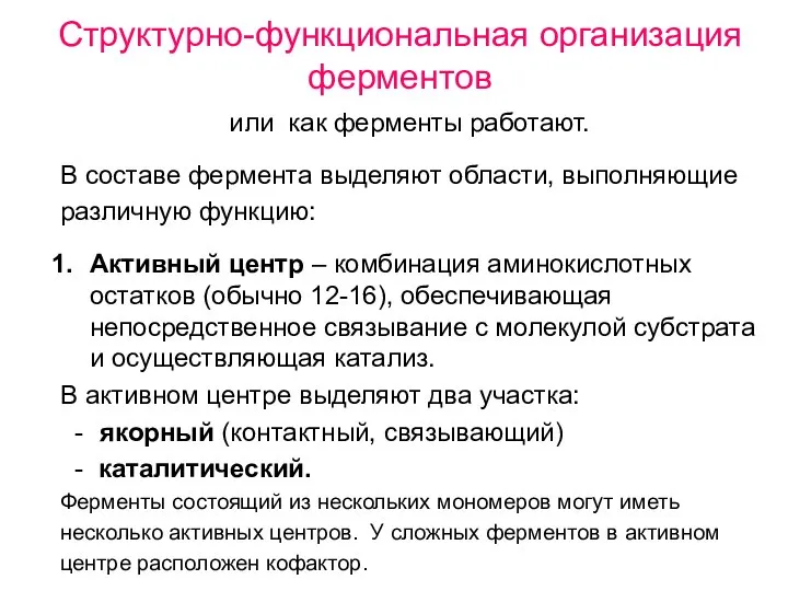 Структурно-функциональная организация ферментов или как ферменты работают. В составе фермента выделяют