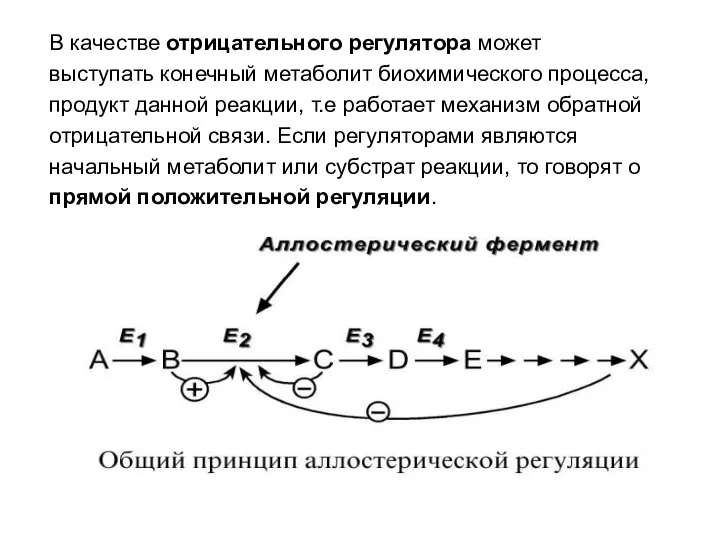 В качестве отрицательного регулятора может выступать конечный метаболит биохимического процесса, продукт