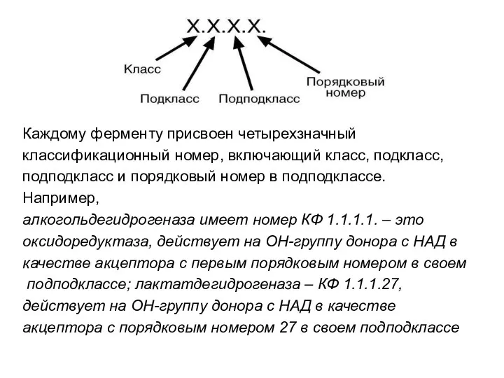 Каждому ферменту присвоен четырехзначный классификационный номер, включающий класс, подкласс, подподкласс и