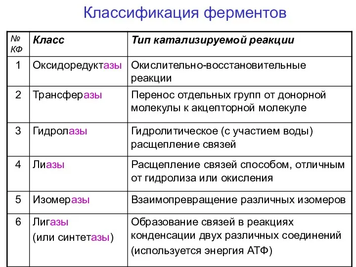 Классификация ферментов