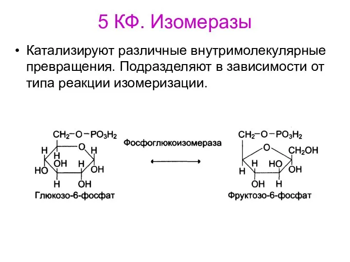 5 КФ. Изомеразы Катализируют различные внутримолекулярные превращения. Подразделяют в зависимости от типа реакции изомеризации.