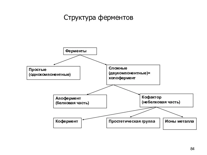 Структура ферментов Ферменты Простые (однокомпонентные) Сложные (двукомпонентные)= холофермент Апофермент (белковая часть)