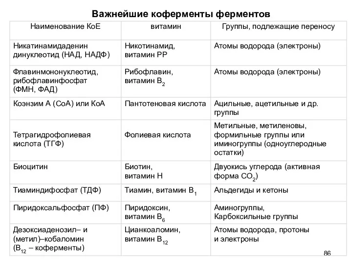 Важнейшие коферменты ферментов