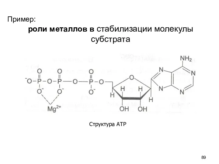 Пример: роли металлов в стабилизации молекулы субстрата Структура АТР