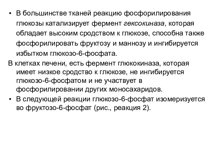 В большинстве тканей реакцию фосфорилирования глюкозы катализирует фермент гексокиназа, которая обладает