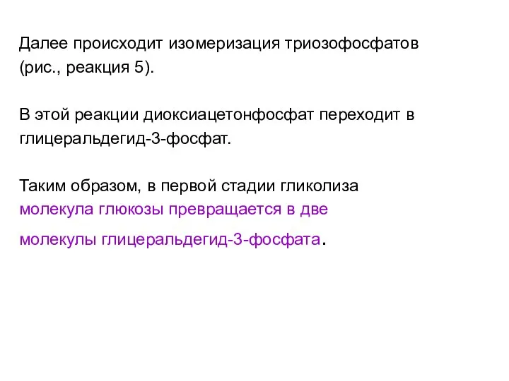 Далее происходит изомеризация триозофосфатов (рис., реакция 5). В этой реакции диоксиацетонфосфат