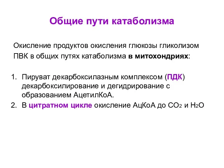 Общие пути катаболизма Окисление продуктов окисления глюкозы гликолизом ПВК в общих